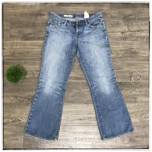 Express Curvy Flare Leg SHORT Jeans